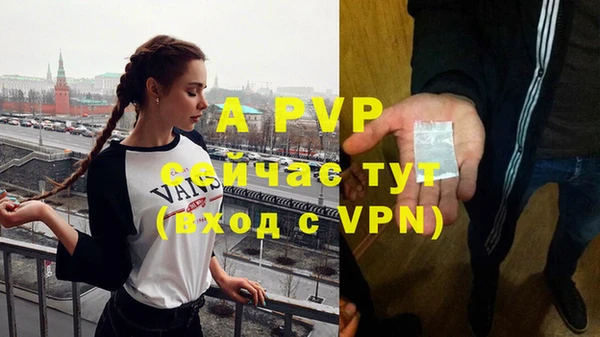PSILOCYBIN Балабаново