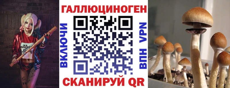 Псилоцибиновые грибы MAGIC MUSHROOMS  Холмск 